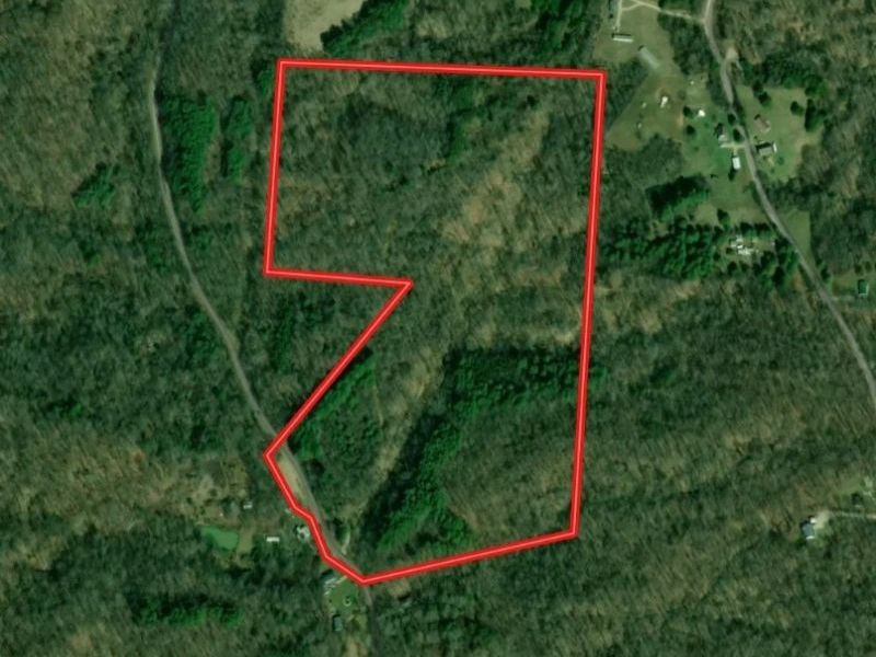 7714 County Rd 14, Corning, OH 43730 Photo 50