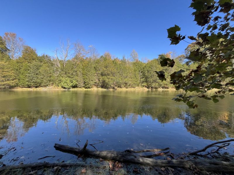 247 Hideaway 245-249 Road, Owenton, KY 40359 Photo 41