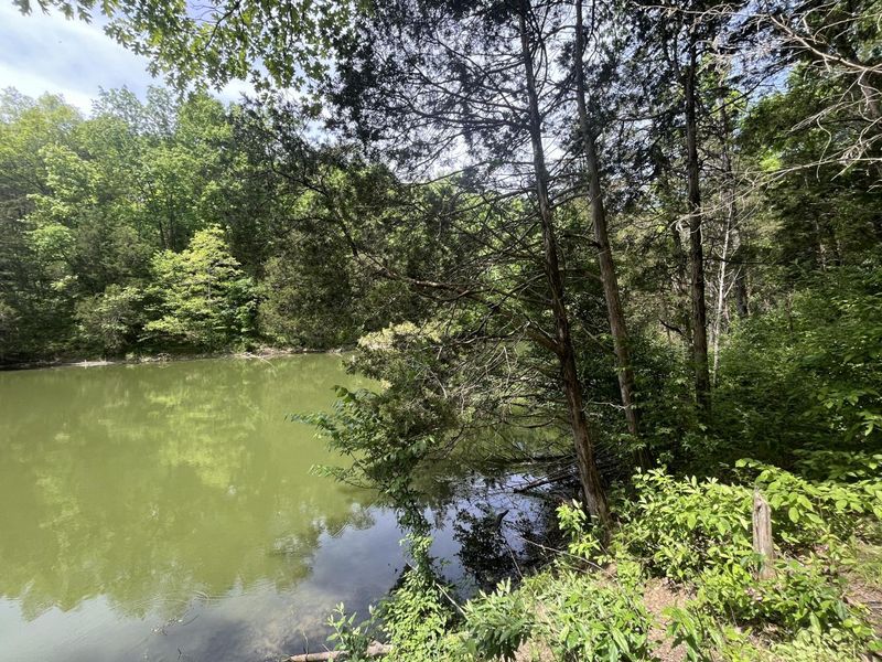 247 Hideaway 245-249 Road, Owenton, KY 40359 Photo 6