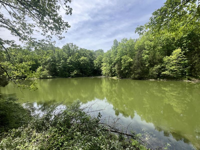 247 Hideaway 245-249 Road, Owenton, KY 40359 Photo 9