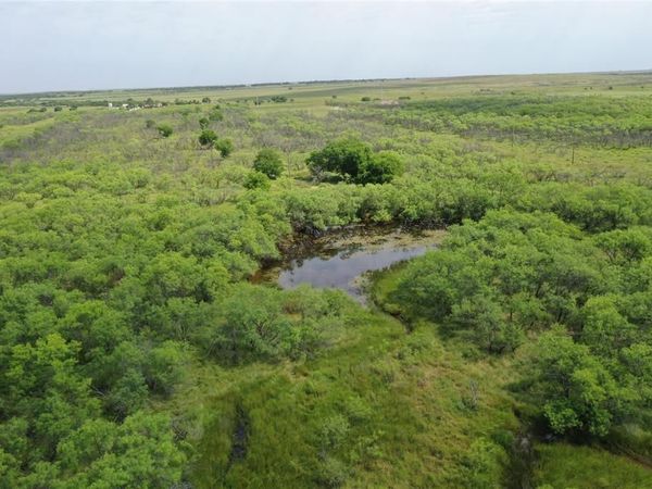 TBD FM 2321 , Bellevue, TX 76228