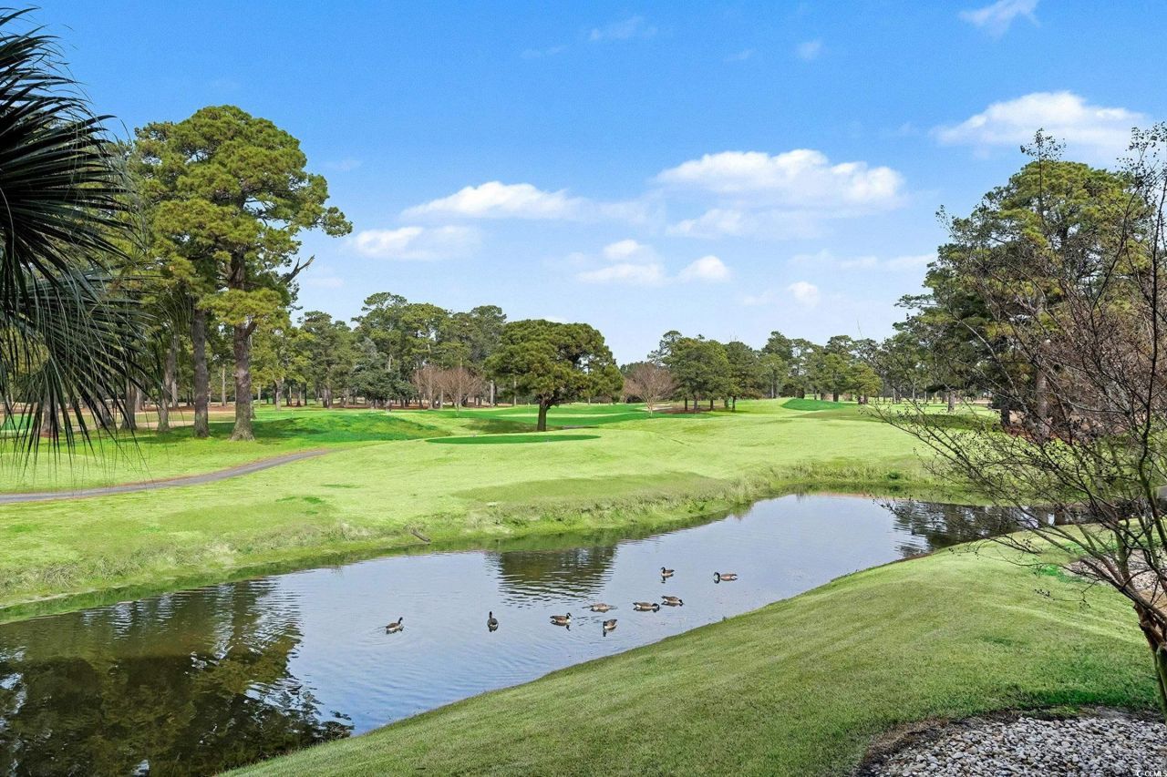 4745 Wild Iris Dr. Photo 20