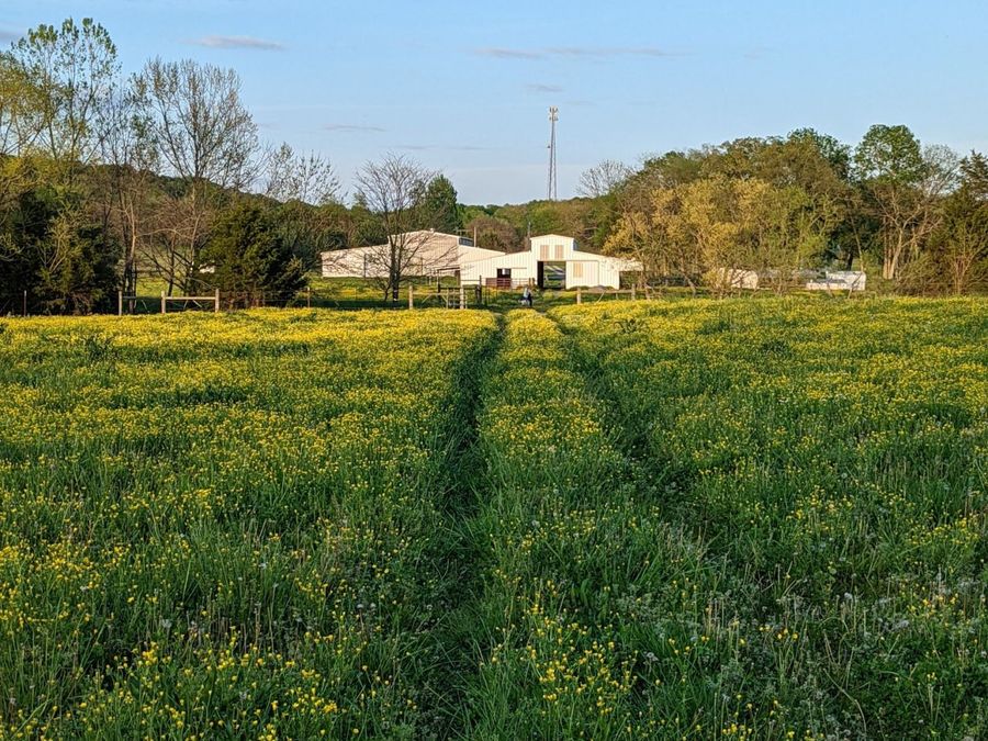 Property Image 5