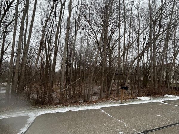 00 Fountain Lane, Handy Township, Mi 48836