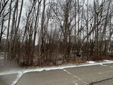 00 Fountain Lane, Handy Twp, MI 48836