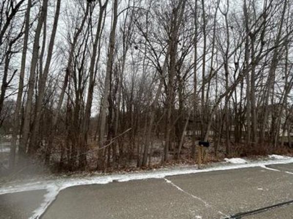 00 Fountain Lane, Handy Twp, MI 48836