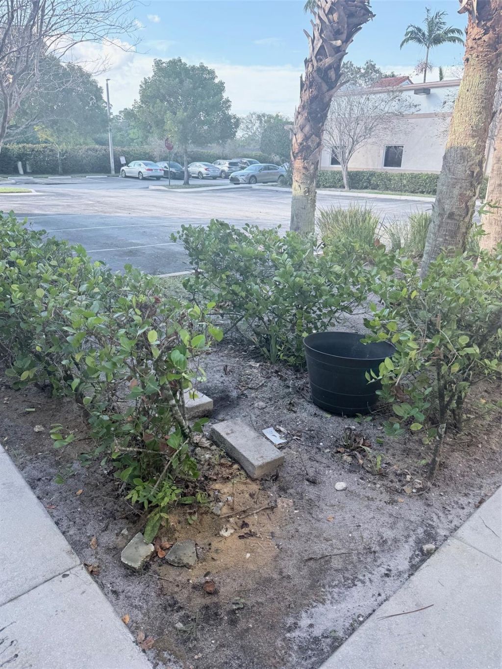 4851 W Hillsboro Boulevard, Unit 5A, Coconut Creek, FL 33073 Photo