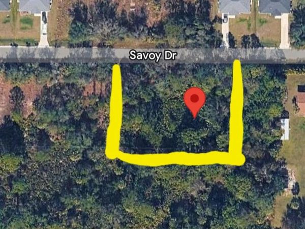 27113 SAVOY DRIVE, PUNTA GORDA, FL 33955