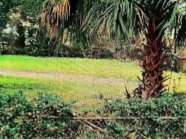 2123 WILBERFORCE Road, Jacksonville, FL 32209