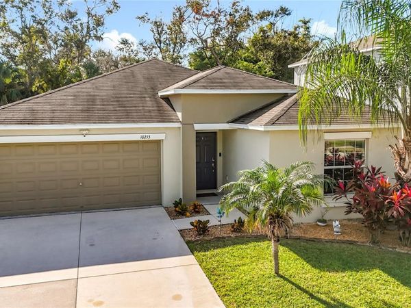 10215 SHIMMERING KOI WAY, RIVERVIEW, FL 33578