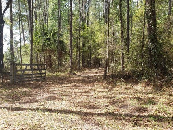 NW 115TH AVENUE, REDDICK, FL 32686