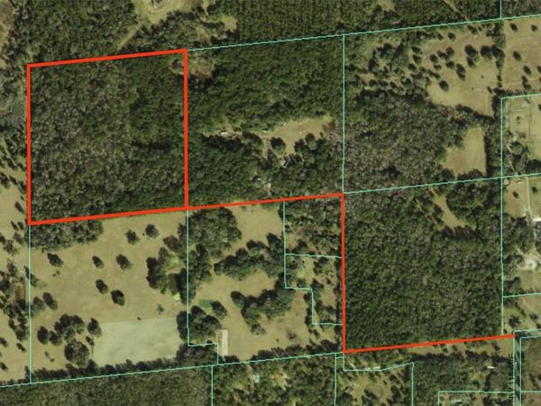 NW 115TH AVENUE, REDDICK, FL 32686