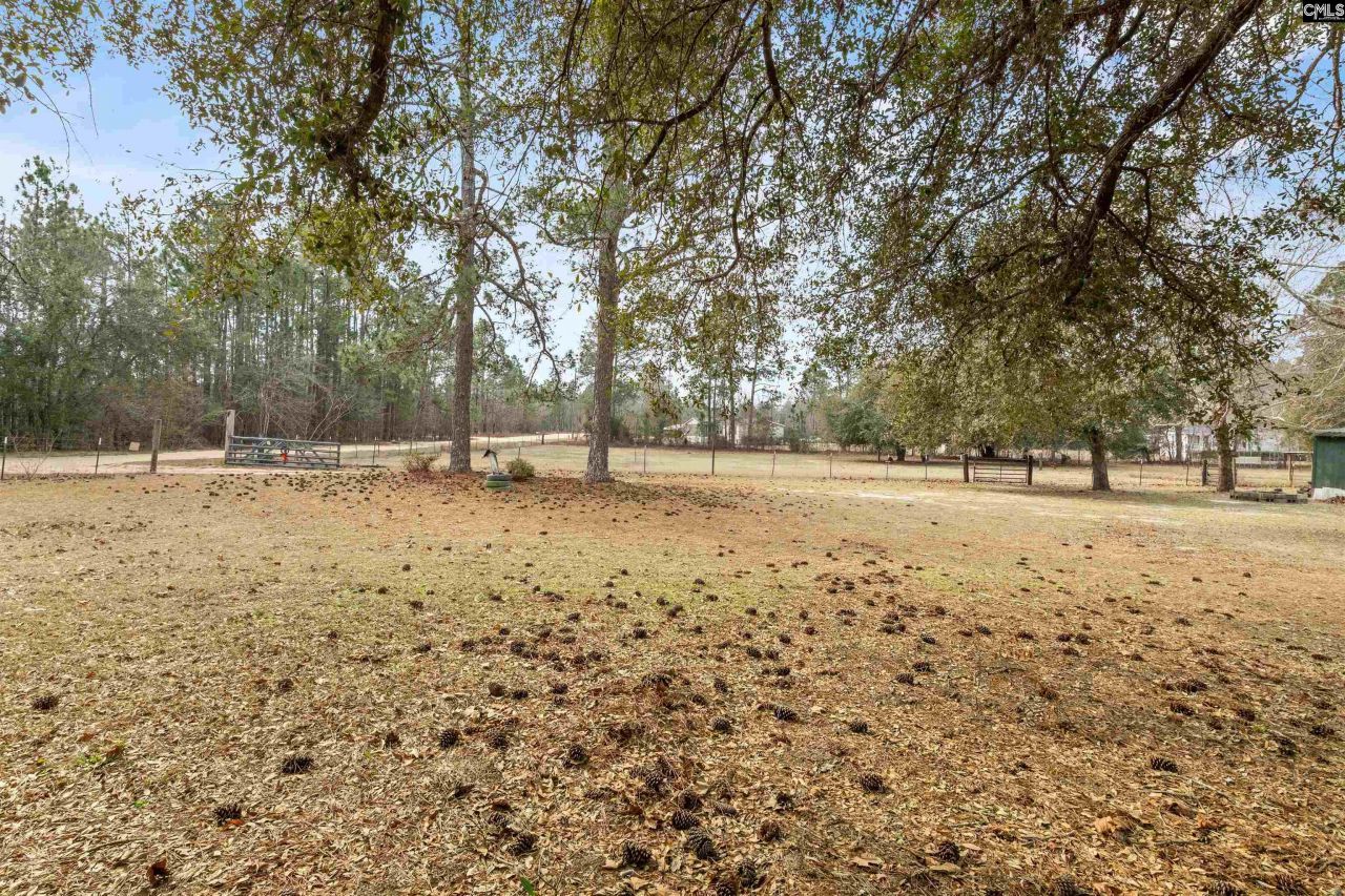 278 Megill Drive Photo 31