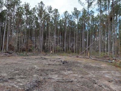 00 St Rd S-15-50 Bent Gate Lane, Walterboro, SC 29488