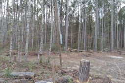 00 St Rd S-15-50 Bent Gate Lane photo 4