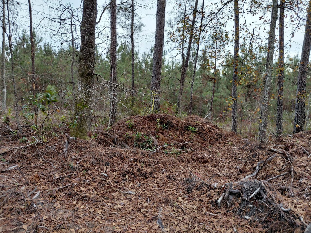 00 St Rd S-15-50 Bent Gate Lane Photo 5