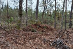 00 St Rd S-15-50 Bent Gate Lane photo 4