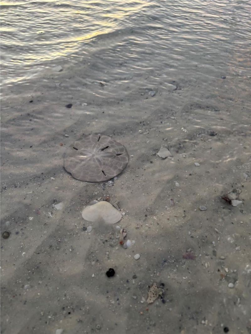 4411 Bay Beach Lane, Unit 744, Fort Myers Beach, FL 33931 Photo