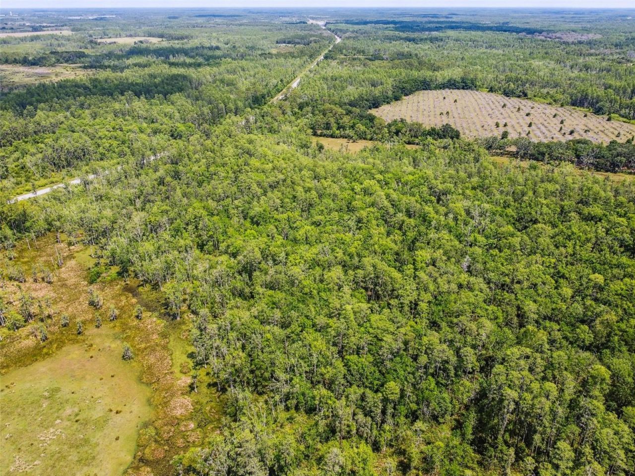 0 Hwy 557, Polk City, FL 33868 Photo