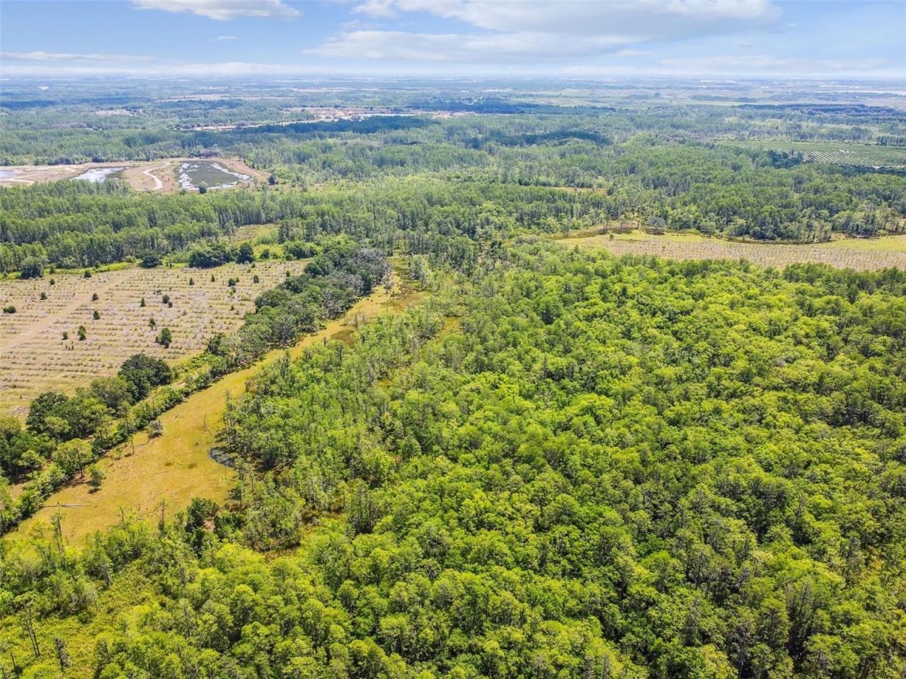 0 Hwy 557, Polk City, FL 33868 Photo