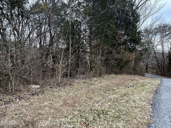 Tbd Lowrance Drive, Kingsport, TN 37660