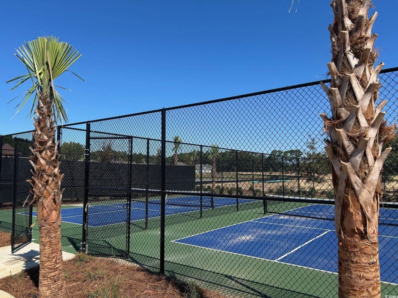 9514 Potters Pass Dr. Photo 5