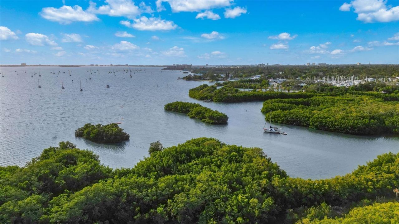 3357 38th Street, Unit B, Saint Petersburg, FL 33711 Photo