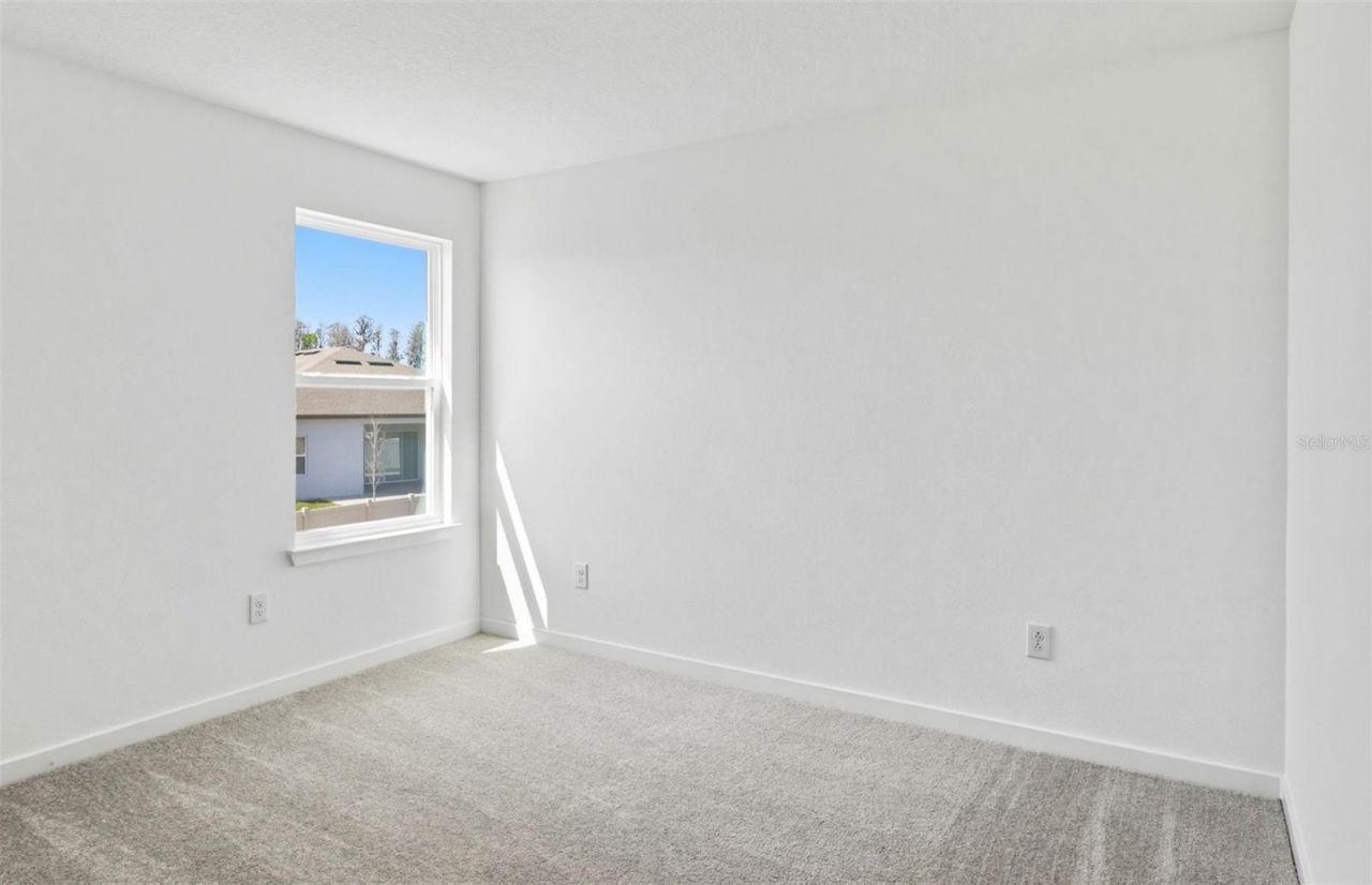 37290 Clinch Circle, Zephyrhills, FL 33540 Photo