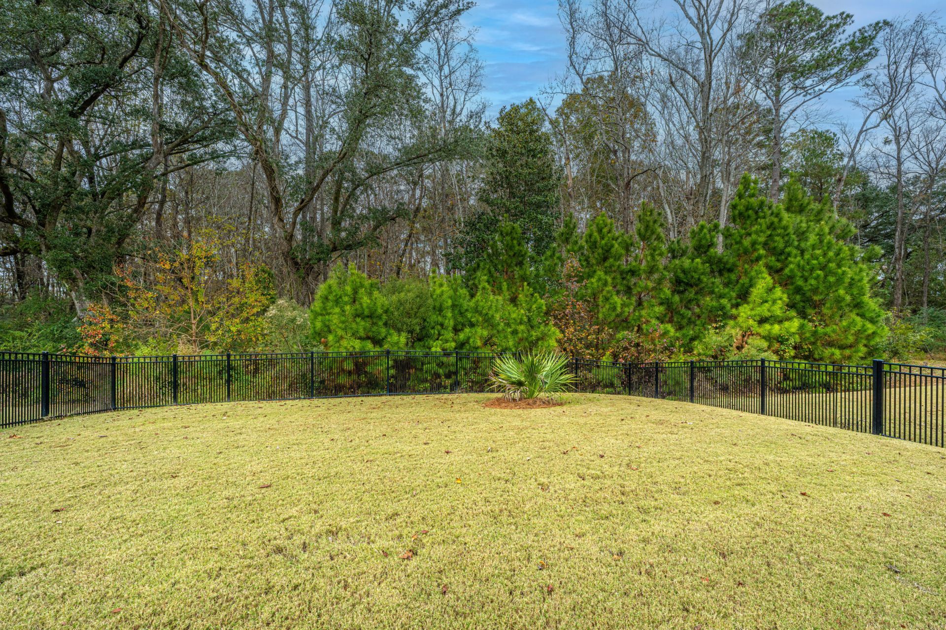 5077 Song Sparrow Way Photo 33