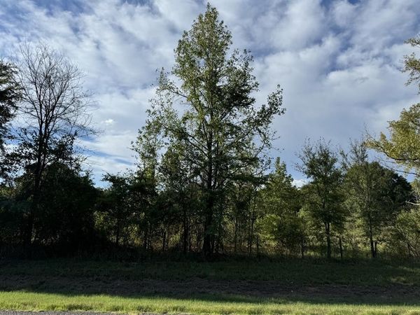 TBD FM 195, Bagwell, TX 75412