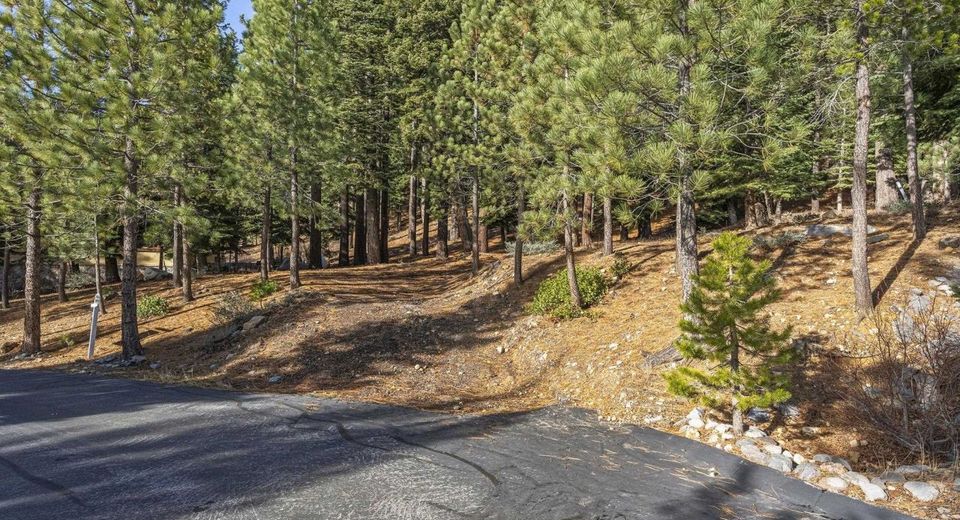 202 Hidden Lake Loop, Olympic Valley, CA 96146 Photo
