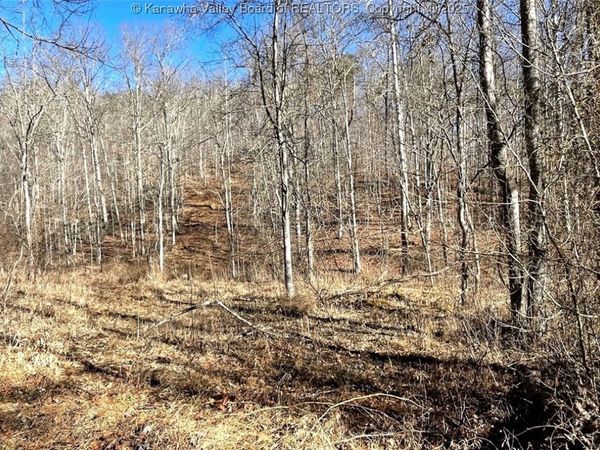 0 Two Mile Creek Road, Wayne, WV 25570