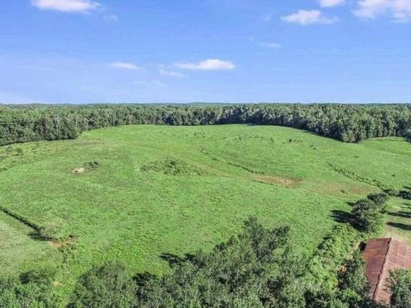 1340 441 Express Way, Mount Airy, GA 30563