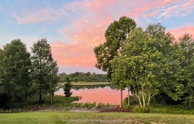 8400 Vintage Drive, Orlando, FL 32835 Photo