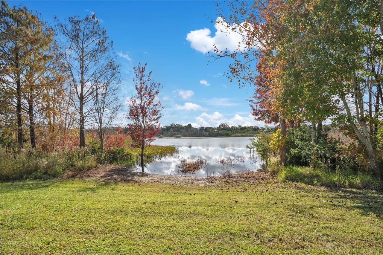 8400 Vintage Drive, Orlando, FL 32835 Photo