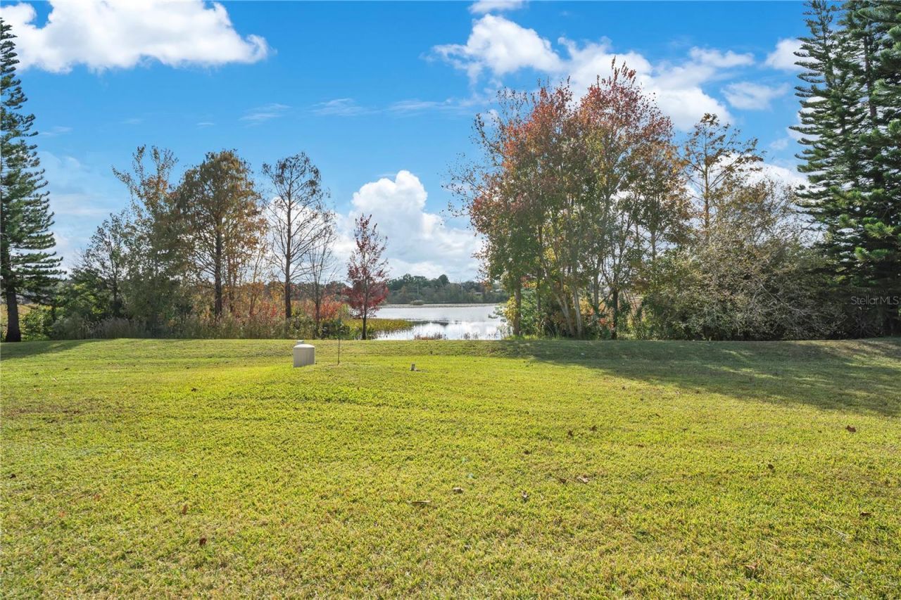 8400 Vintage Drive, Orlando, FL 32835 Photo