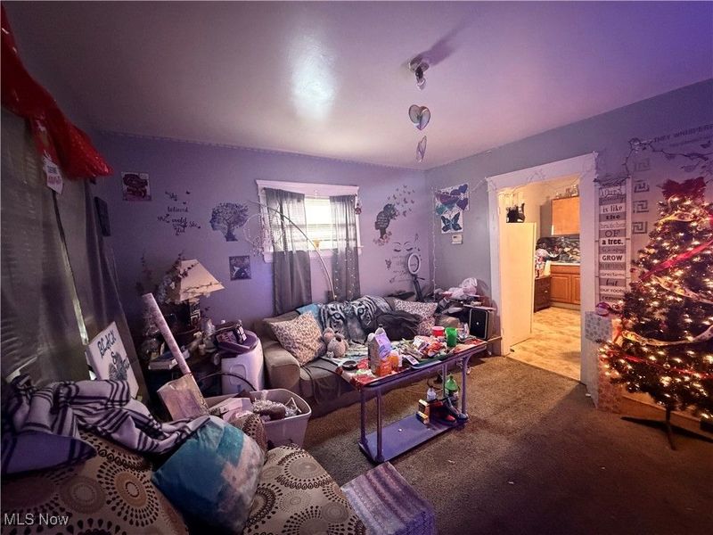 9521 Mount Auburn Avenue, Cleveland, OH 44104 Photo 18