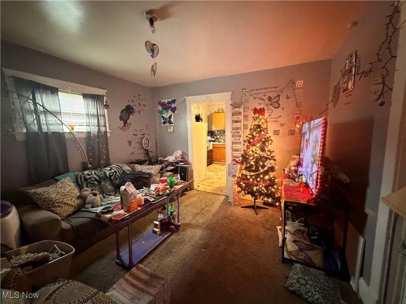 9521 Mount Auburn Avenue, Cleveland, OH 44104 Photo 19