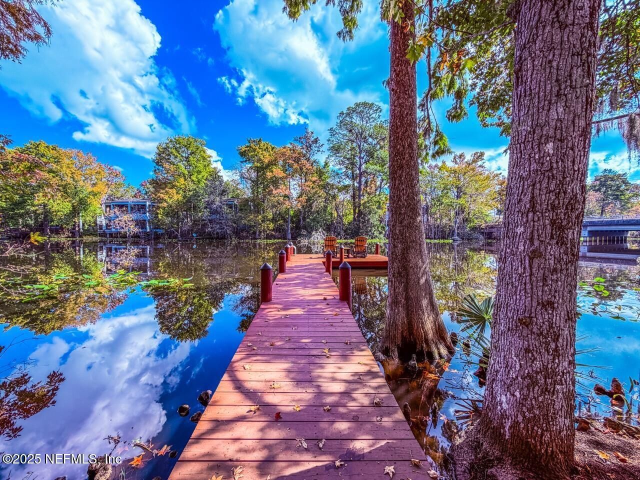 8861 Amalfi Court, Jacksonville, FL 32217 Photo