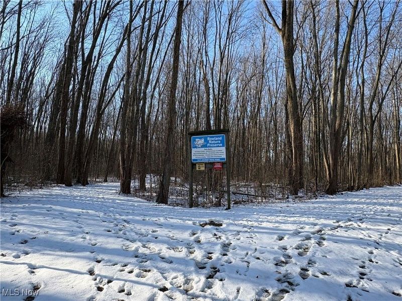 42141 Emerson Court, Elyria, OH 44035 Photo 27