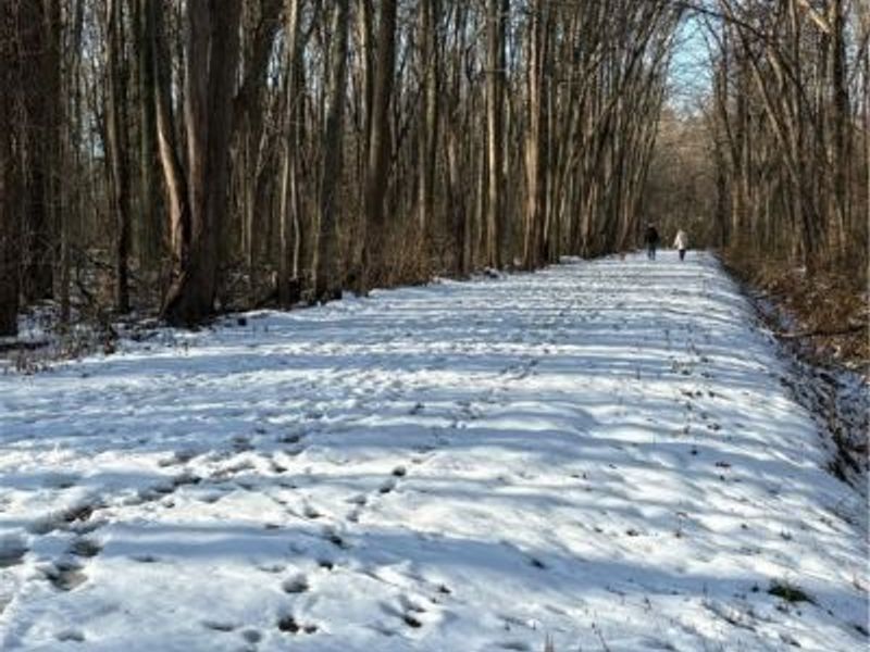 42141 Emerson Court, Elyria, OH 44035 Photo 32