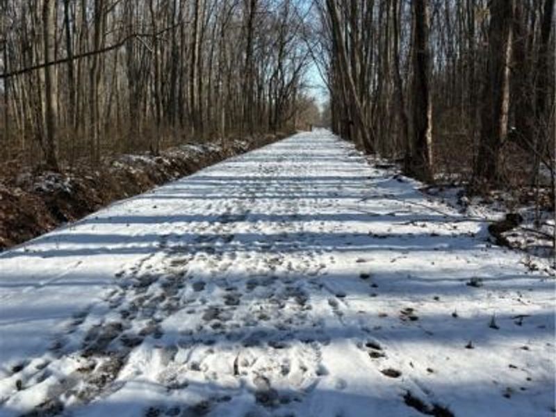 42141 Emerson Court, Elyria, OH 44035 Photo 33