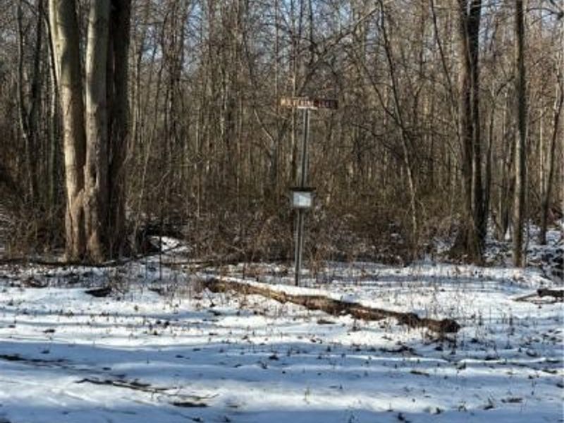 42141 Emerson Court, Elyria, OH 44035 Photo 34