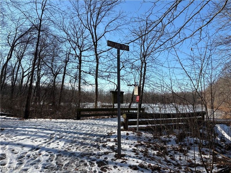 42141 Emerson Court, Elyria, OH 44035 Photo 36