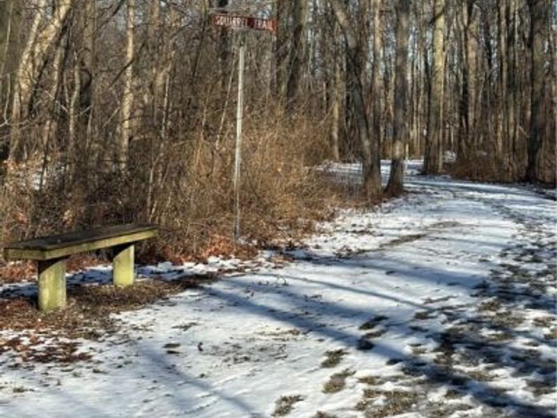 42141 Emerson Court, Elyria, OH 44035 Photo 37