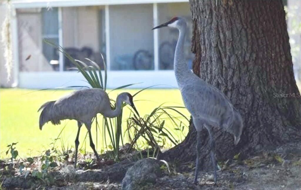 1519 Club Cir, Lakeshore, FL 33854 Photo