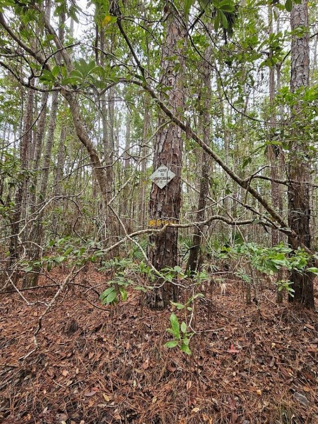 804 Shell Harbor Road, Pierson, FL 32180 Photo