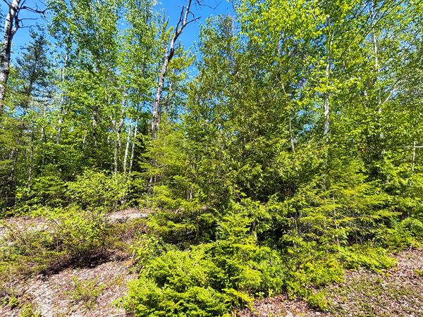 Lot 25 Northland Heights Drive, Presque Isle, MI 49777