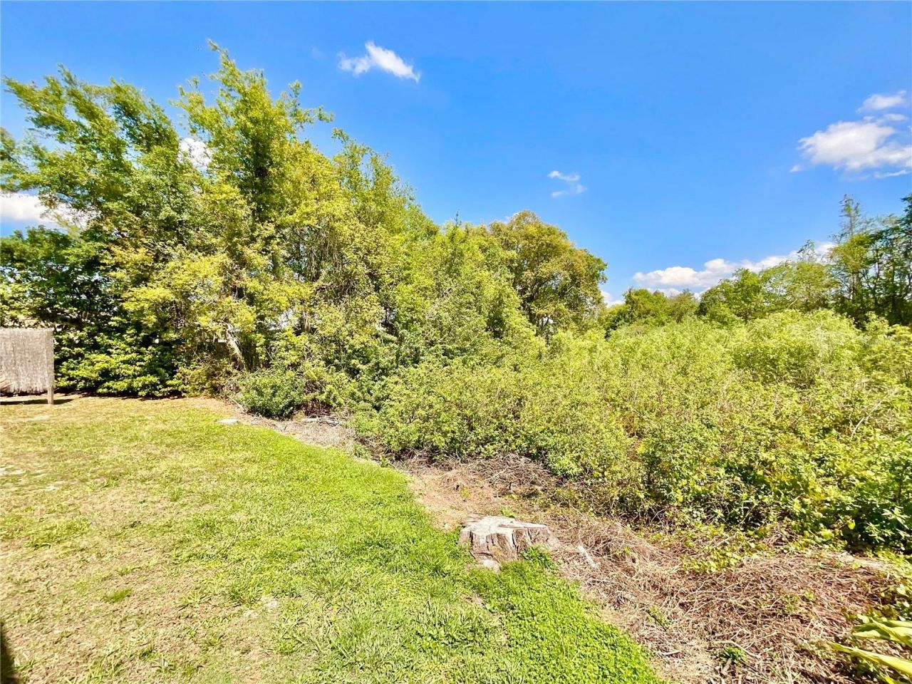 1828 Osprey Lane, Lutz, FL 33549 Photo