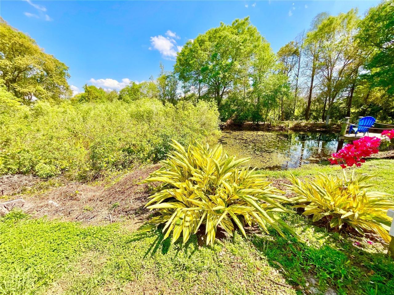 1828 Osprey Lane, Lutz, FL 33549 Photo